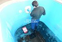 Чистка запущенного бассейна в Подмосковье +откачка старой воды